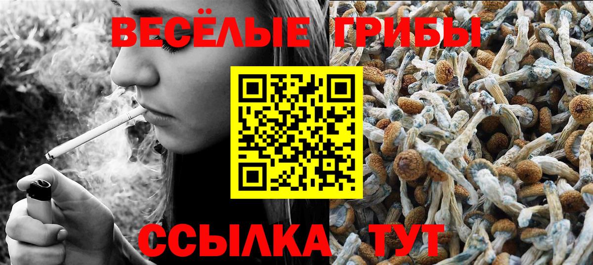 Бирск  Псилоцибиновые грибы ЛСД  Вход с VPN 